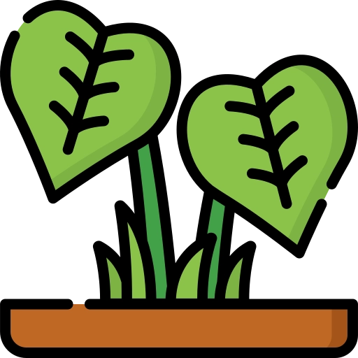 Icona Portale Botanica e botanica sistematica