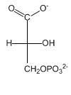 3-fosfoglicerato