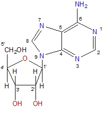 Adenosina struttura