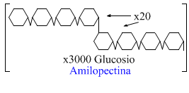 Amilopectina