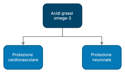 Biochimica acidi grassi omega 3 ruolo biologico