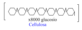 Cellulosa