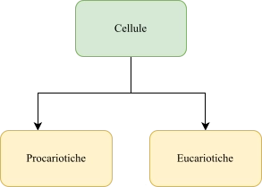 Classificazione cellule procariotiche eucariotiche