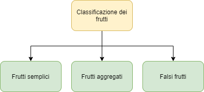 Classificazione dei frutti
