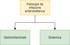 Classificazione delle infezioni da enterobatteri