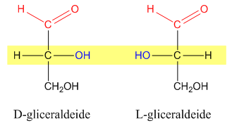 D-Gliceraldeide ed L-Gliceraldeide a confronto