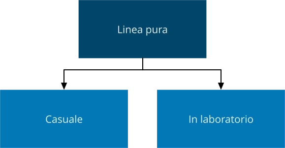 Genetica linea pura