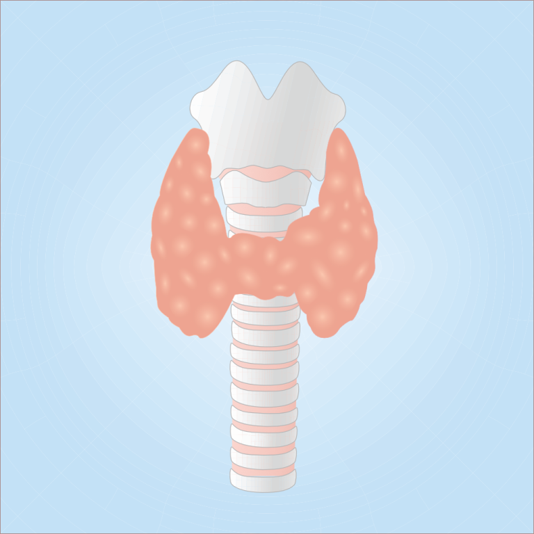 Ghiandola tiroide posizione vertebre