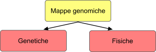 Mappe genomiche genetiche fisiche