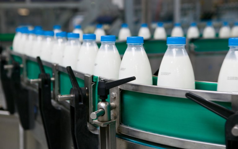 Produzione di latte