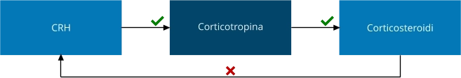 Regolazione sintesi corticotropina.
