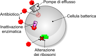 Resistenza Agli Antibiotici - Antibiotico-resistenza - Microbiologia