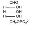 Ribosio 5 fosfato a catena aperta