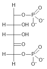 Ribulosio 1,5 bisfosfato