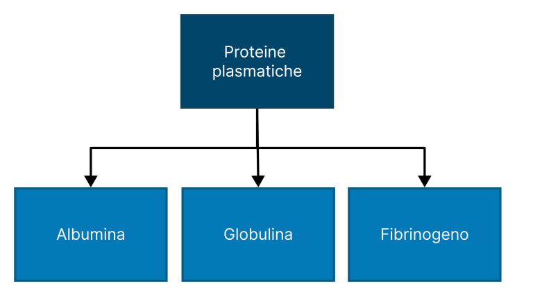 Classi di proteine plasmatiche