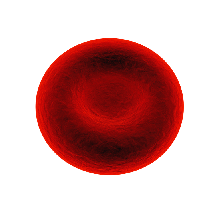 Sangue globulo rosso illustrazione