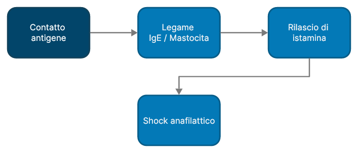 Sistema immunitario shock anafilattico meccanismo